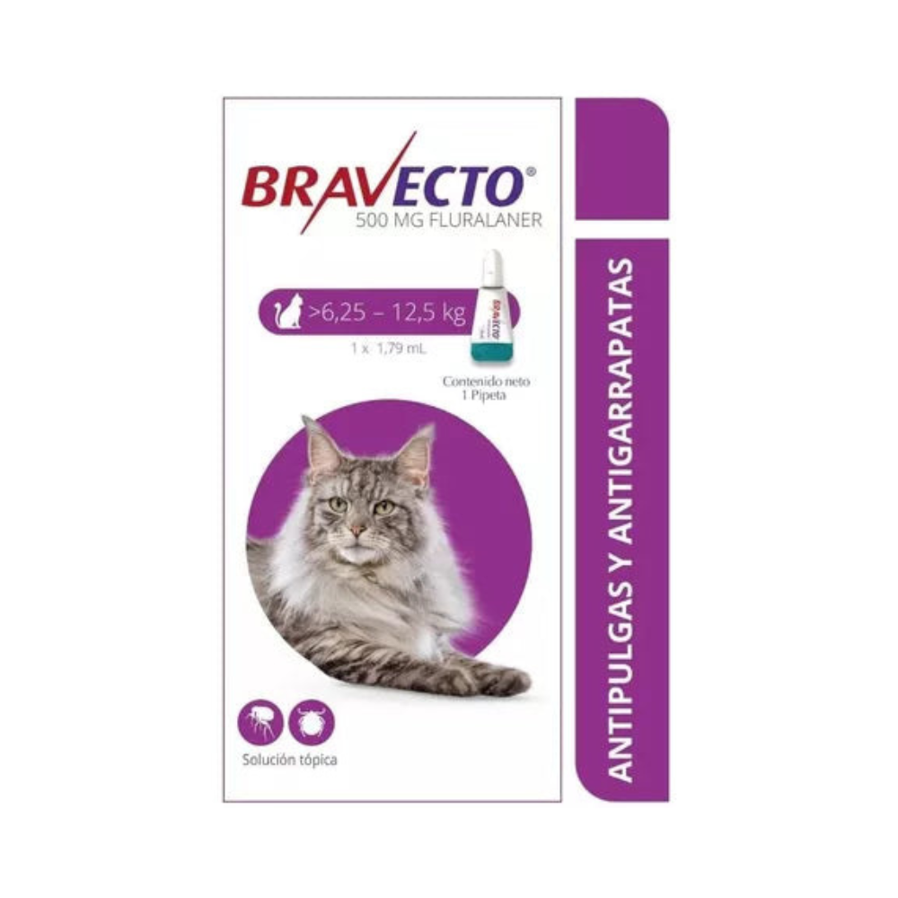 Antipulgas Bravecto Spot On para Gatos 6.2 a 12.5 KG