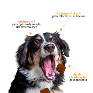 Galletas Brownies Kanu Pet para perros - {{ Kanu Pet }}