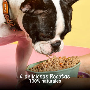 Alimento Congelado Receta Gourmet de Kanu Pet sabor a Pollo - Lentejas para perros. 100% Comida Real - {{ Kanu Pet }}