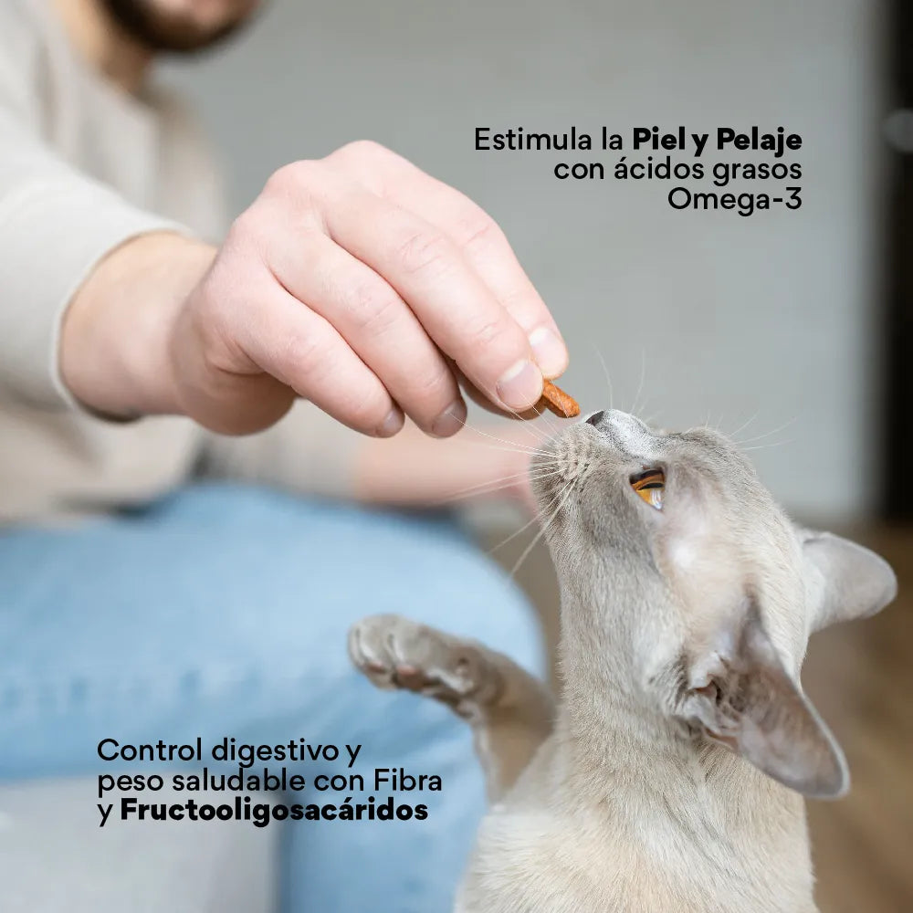 Snacks Nuggets Skin and Coat para Gatos - {{ Kanu Pet }}