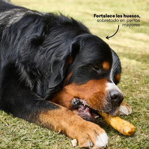 Snack Colágeno de Pollo Kanu Pet para Perro. No es Carnaza 3 Unds - {{ Kanu Pet }}