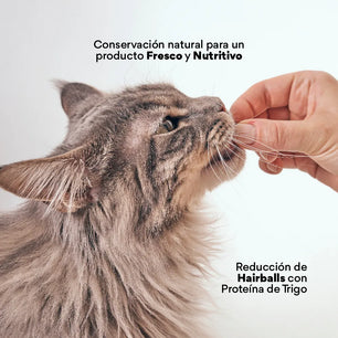 Snacks Nuggets Hair Ball Control para Gatos - {{ Kanu Pet }}