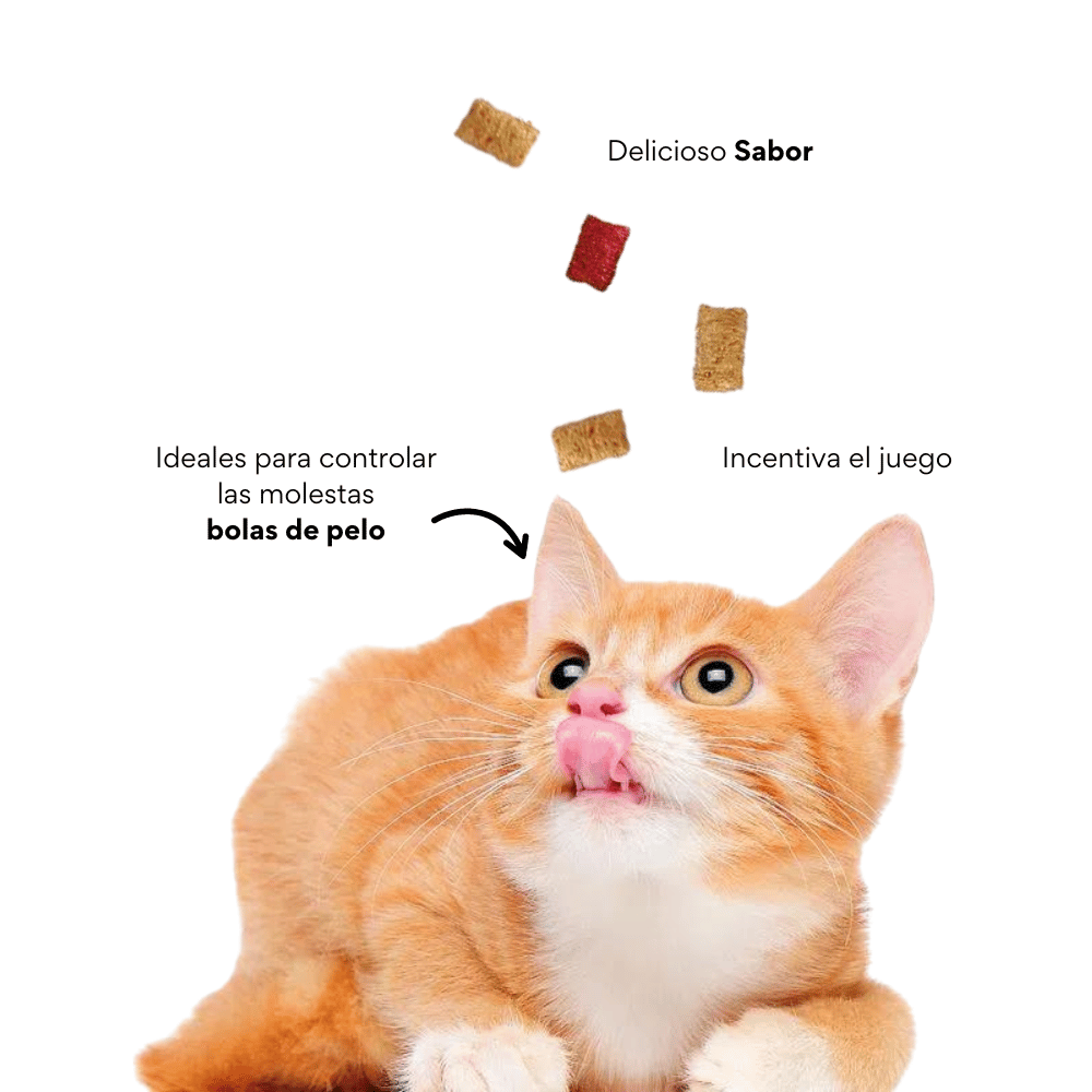 Galleta Hairball Control Kanu Pet para gatos - {{ Kanu Pet }}
