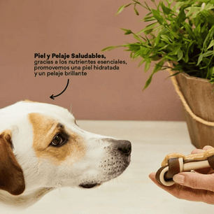 Snack Mantequilla de Mani Kanu Pet para Perro. Un solo ingrediente - {{ Kanu Pet }}