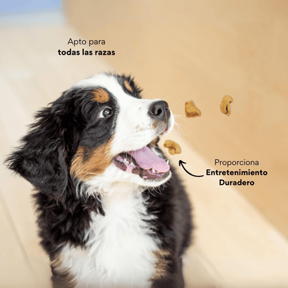 Snack Kanu Pet Chicharrón de Cerdo para Perros, Un Solo ingrediente 100% natural - {{ Kanu Pet }}