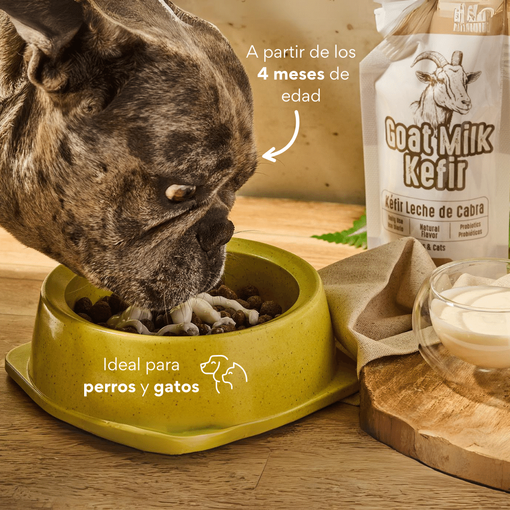 Suplemento Kéfir de Leche de Cabra Kanu Pet para Perro y Gato Sabor 100% Natural - {{ Kanu Pet }}