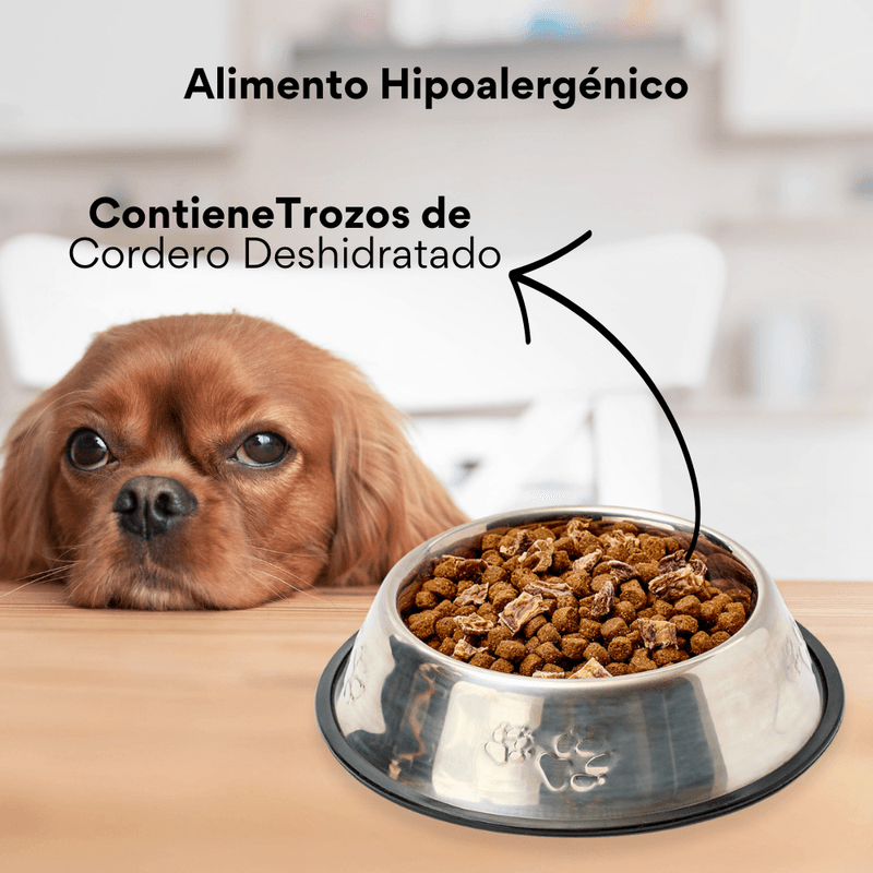 Alimento seco Nativo Bites Cordero Kanu Pet para perro adulto - {{ Kanu Pet }}