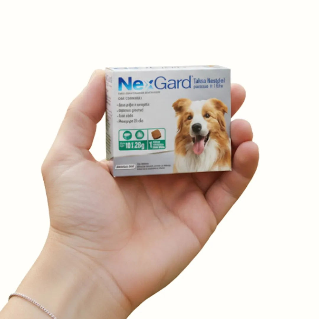 Antipulgas Nexgard para Perros de  10.1 a 25 Kg Sabor a Carne
