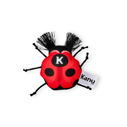 Juguete de Peluche Mariquita para gato Kanu Pet - {{ Kanu Pet }}