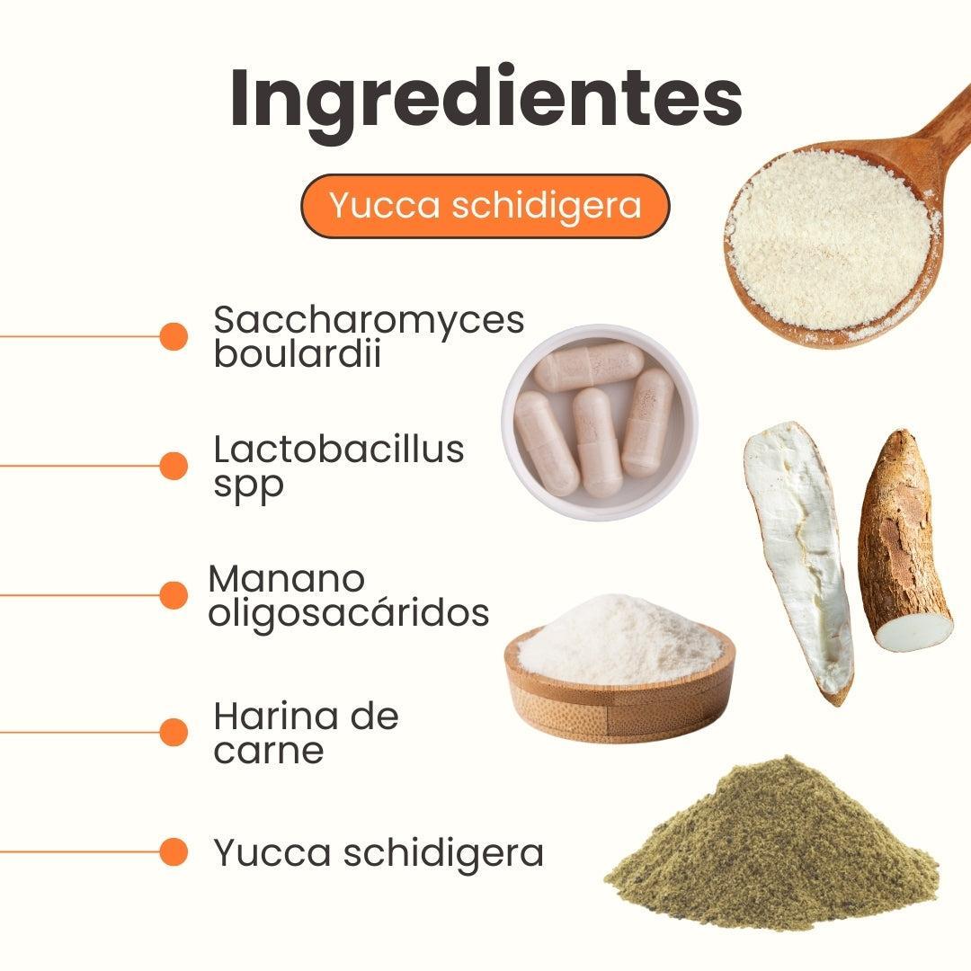 Suplemento Probiótico para gatos K-Flora Sobre