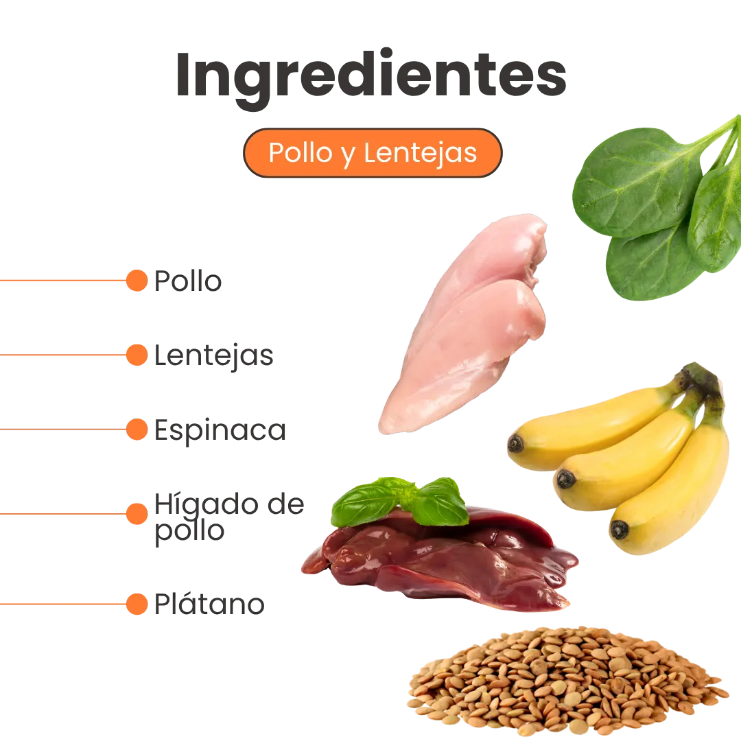 Alimento Congelado Nativo Fresh sabor a Pollo y Lentejas Kanu Pet para Perros. 100% Comida Real