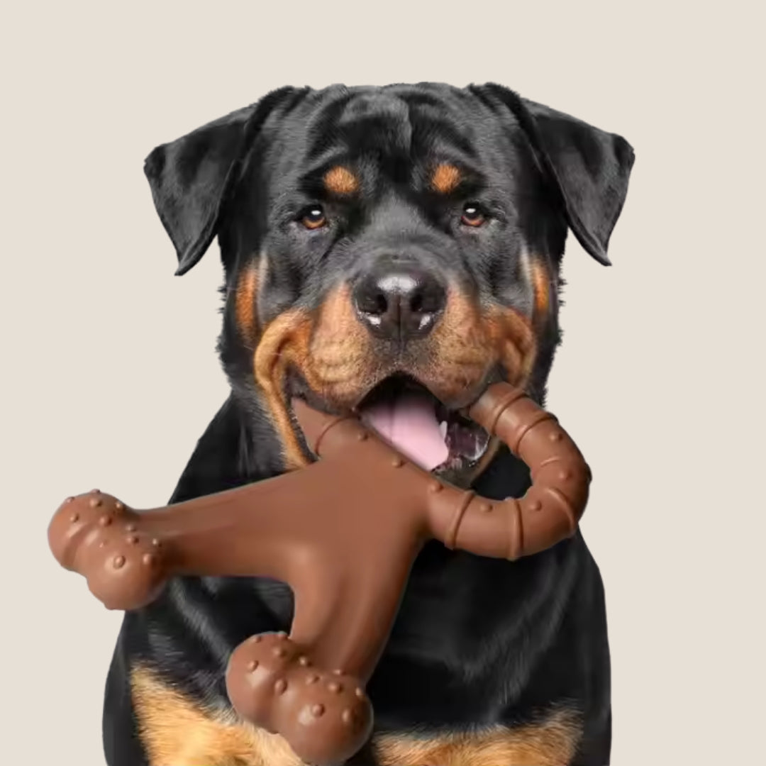 Juguete Masticable Magic Bone Sabor Carne Kanu Pet para Perro