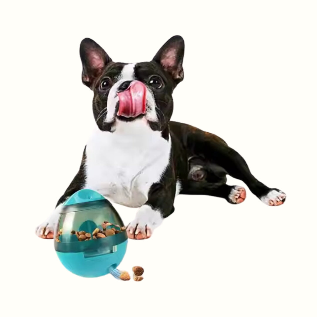 Pelota Tambaleante Dispensadora de Alimentos Kanu Pet para Perro y Gato