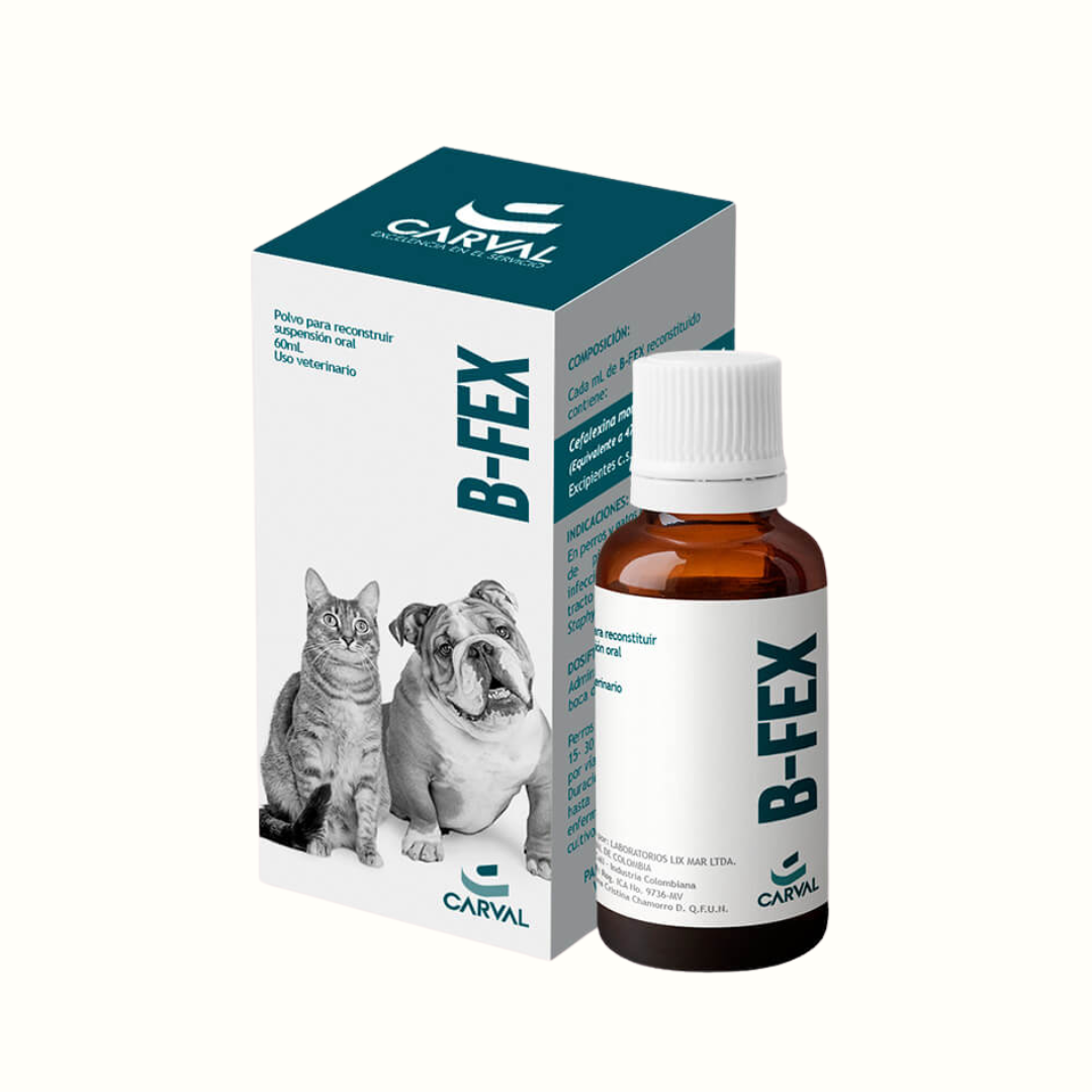 Antibiótico B-Fex Suspension Oral para perro y gato