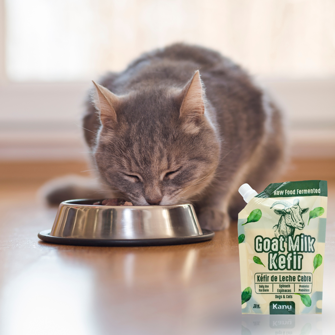 Suplemento Aceite de Salmón  Kanu Pet para perro y gato. Omega 3 y 6