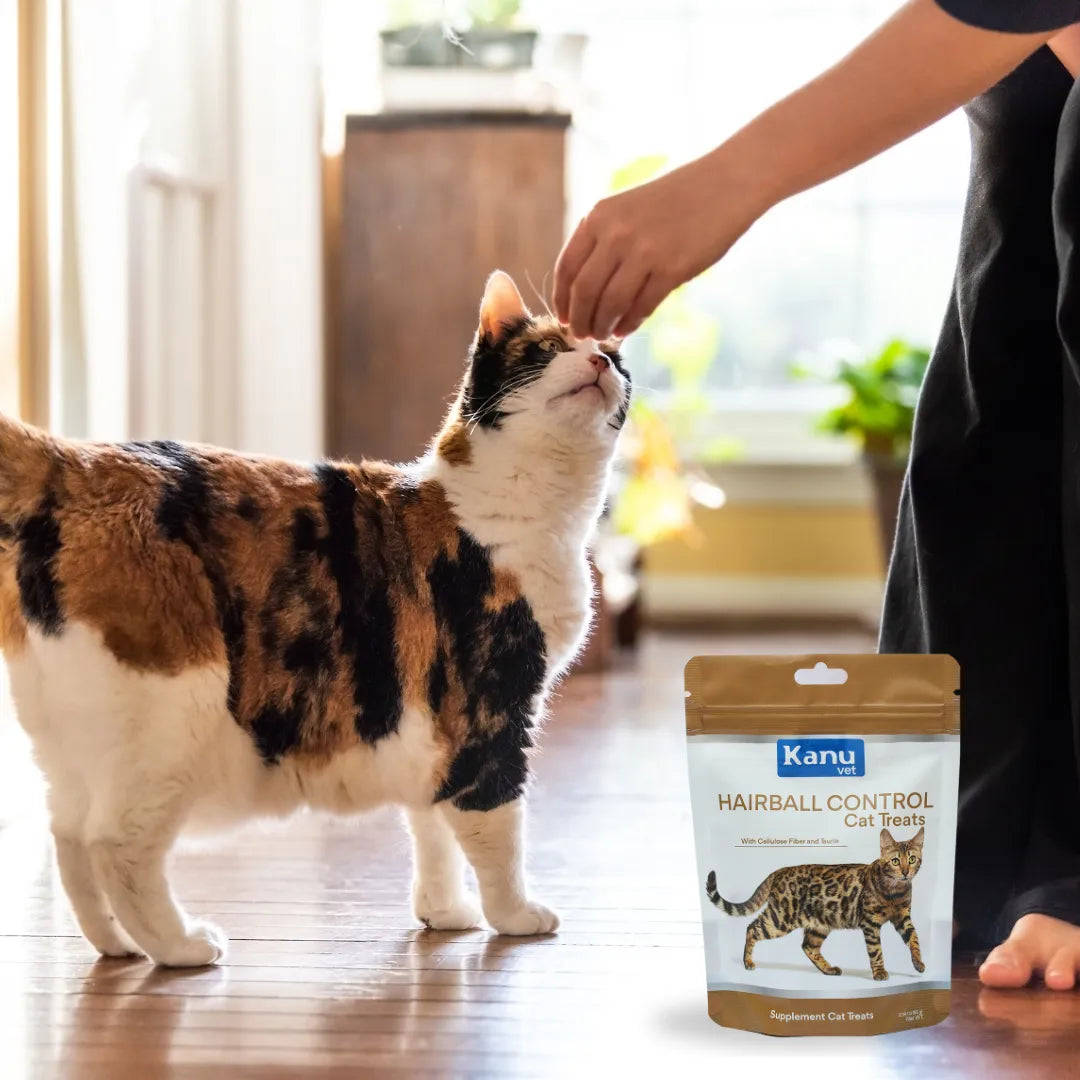 Snacks Nuggets Hairball Control para Gatos