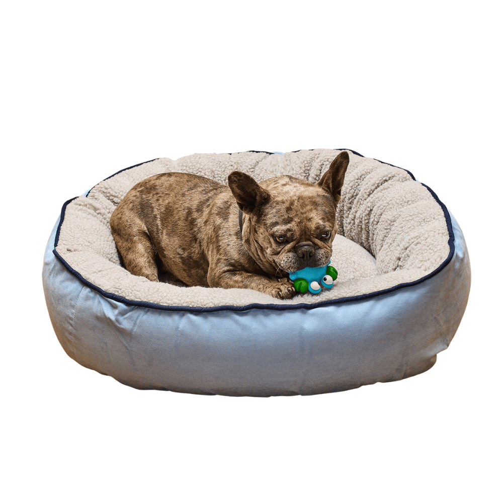Cama Redonda Ovejero Azul Celeste Kanu Pet para Perro