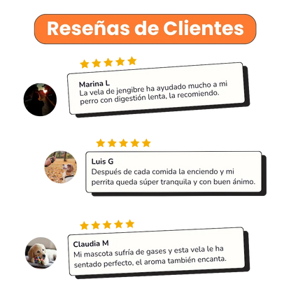 Vela Digestive Support Kanu Pet para Perros aroma Ginger