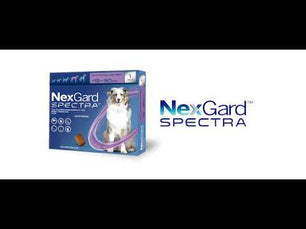 Antipulgas Nexgard para Perros S de 3.5 a 7 Kg